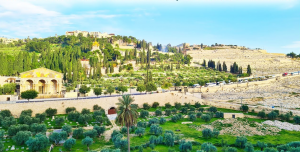 Mount of Olives